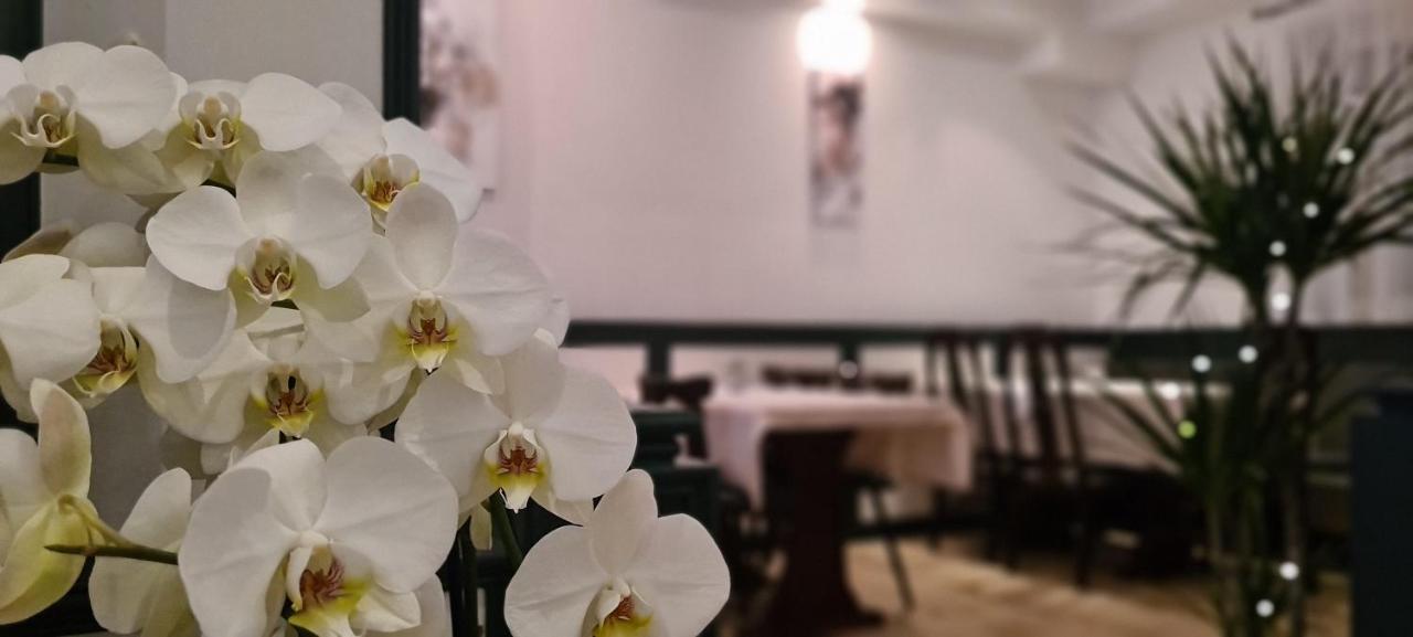 Lamm Hotel 2*